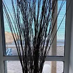 Blanca * האראקי