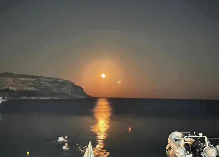 Blanca فيلة شاراكي